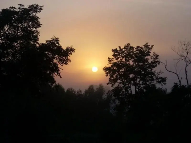 Rai Phuphapok