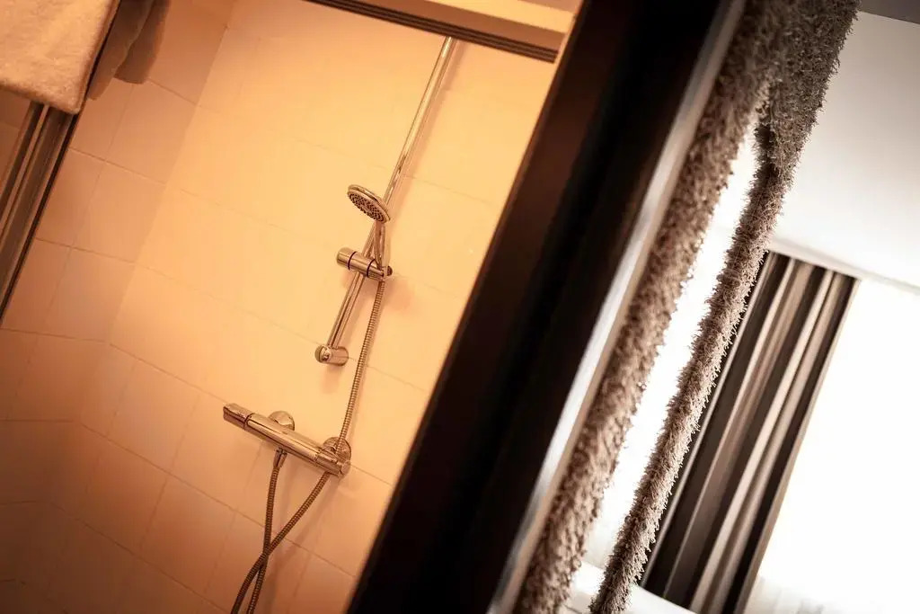 H+ Hotel Ried