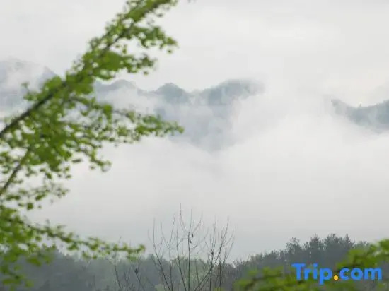 huangshanYixianguoyuanli