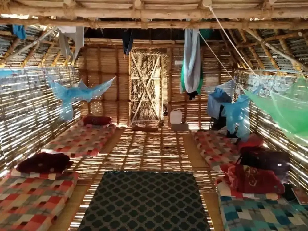 Time Travellers