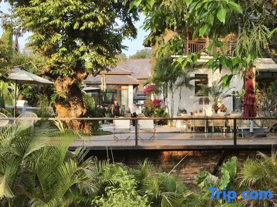 Xishuangbanna Bohai Birch Tree Hot Spring Yunshu