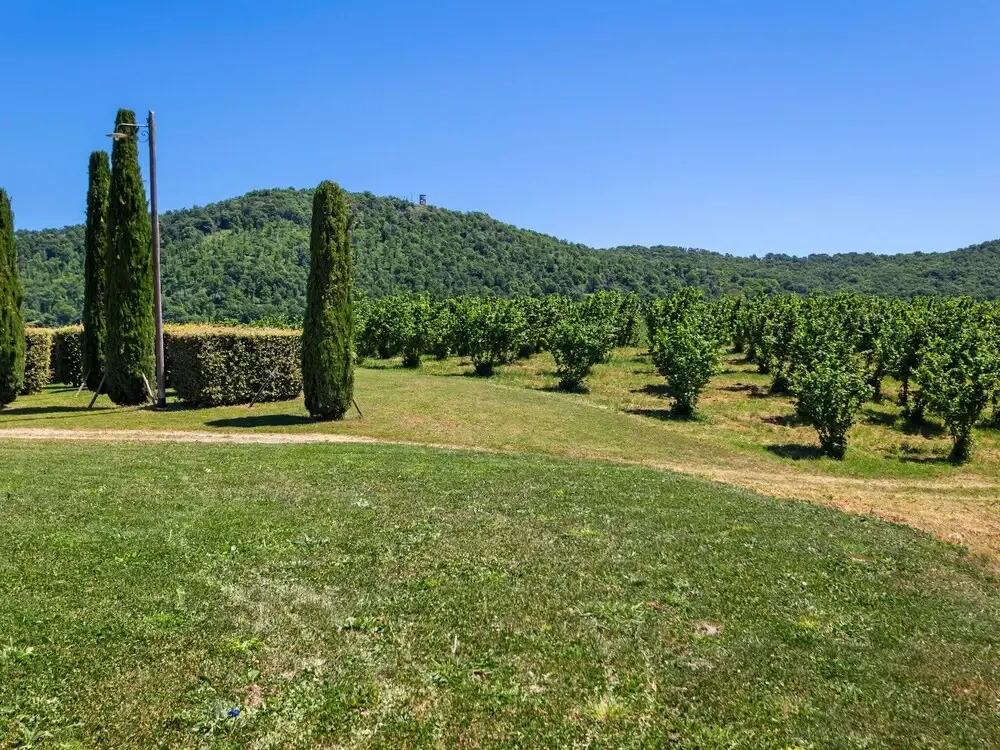 Scenic Apartment in Rome near Lago di Martignano