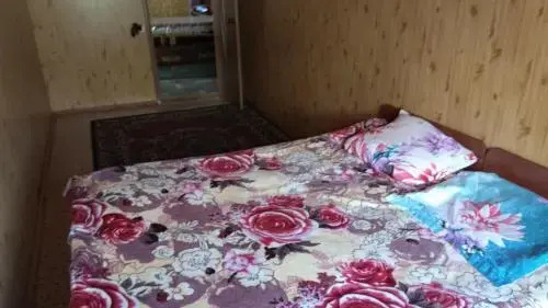 Ala-Kul guesthouse in Altyn-Arashan
