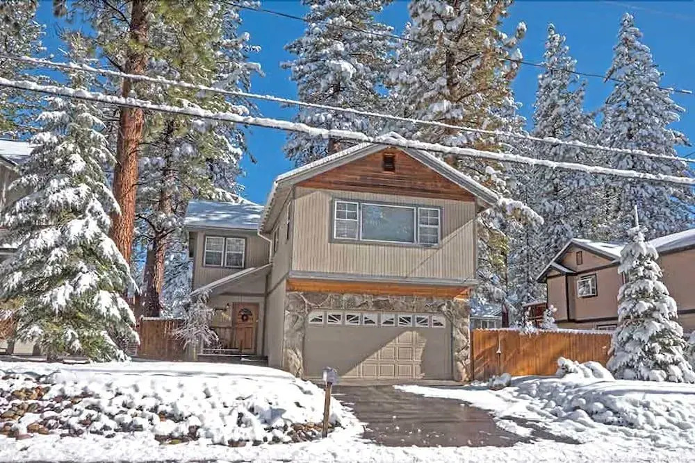 1209 Golden Bear By Redawning