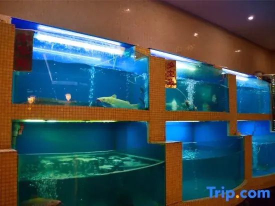 Tian Yi Hotel