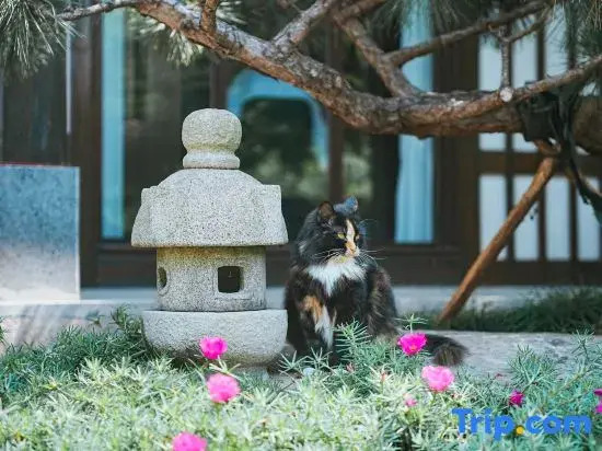 Yangzhou Tangcheng Shuiyun Resort Hotel