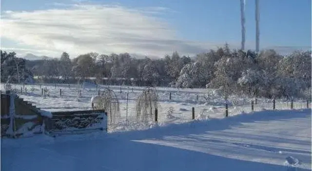 Balciuin B&B