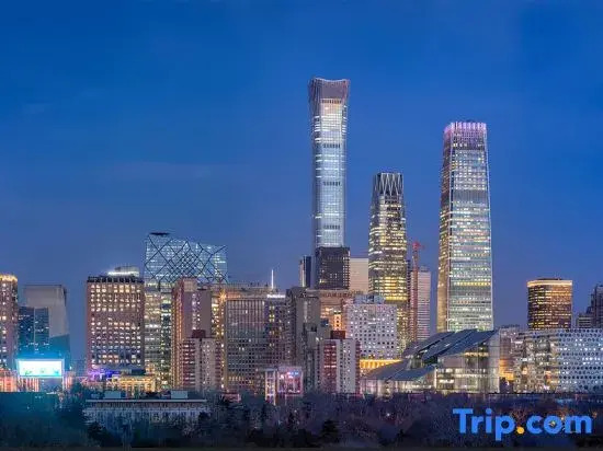 Youjia Yaju Apartment (Beijing Guomao Branch)