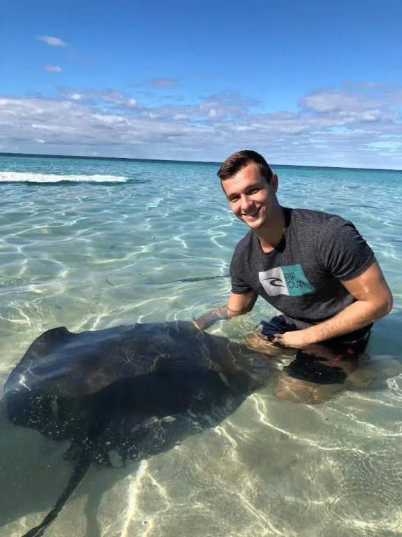Dolphin Cove