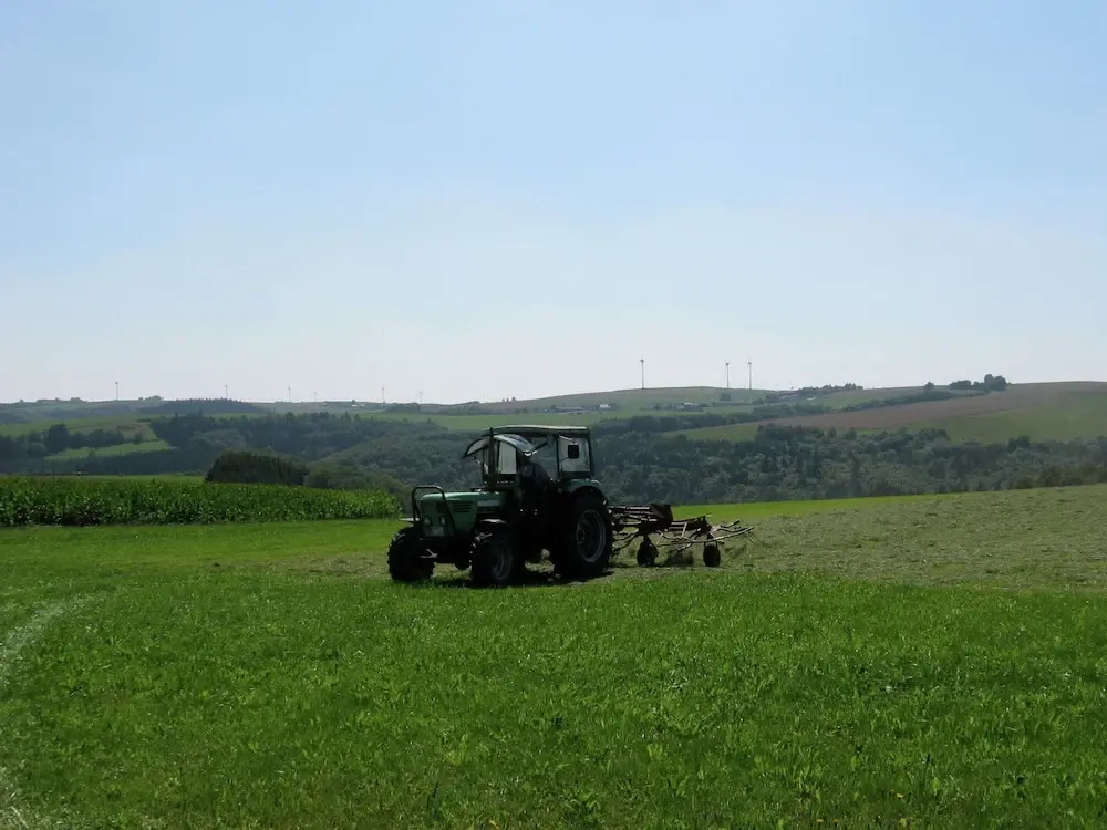 Large Group House, Beautifully Located in Eifel