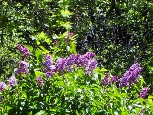 Domaine de Lara
