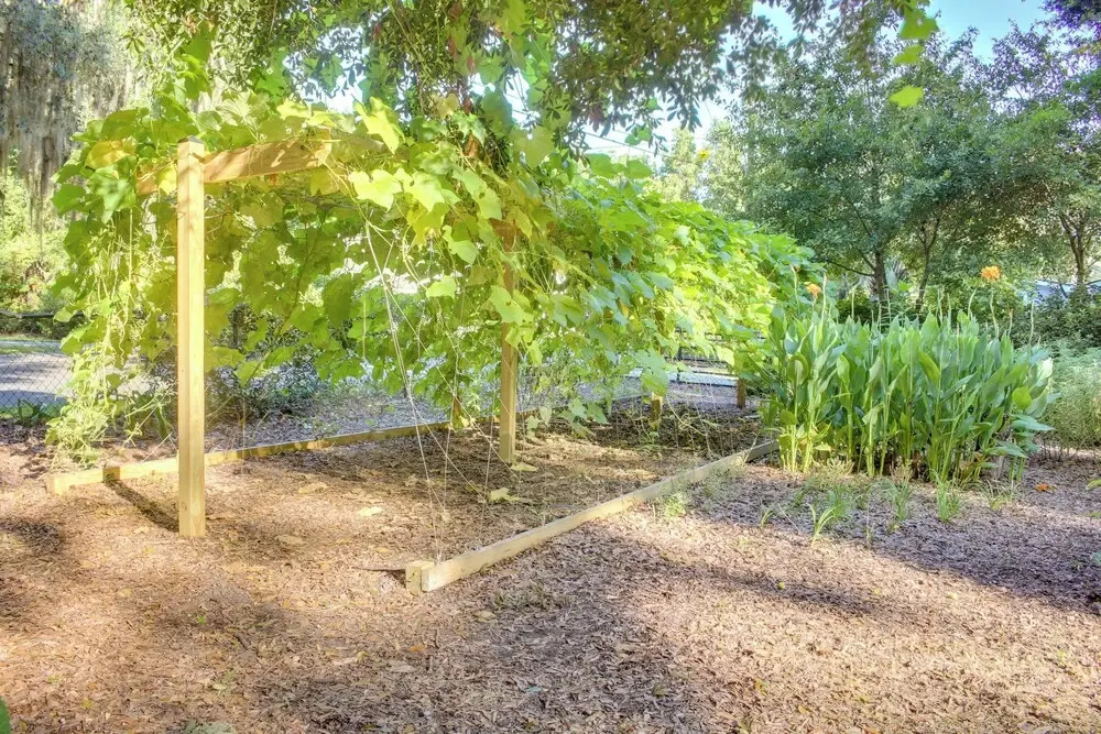 Savannah Cottage - 5 Mi to Wormsloe Historic Site!