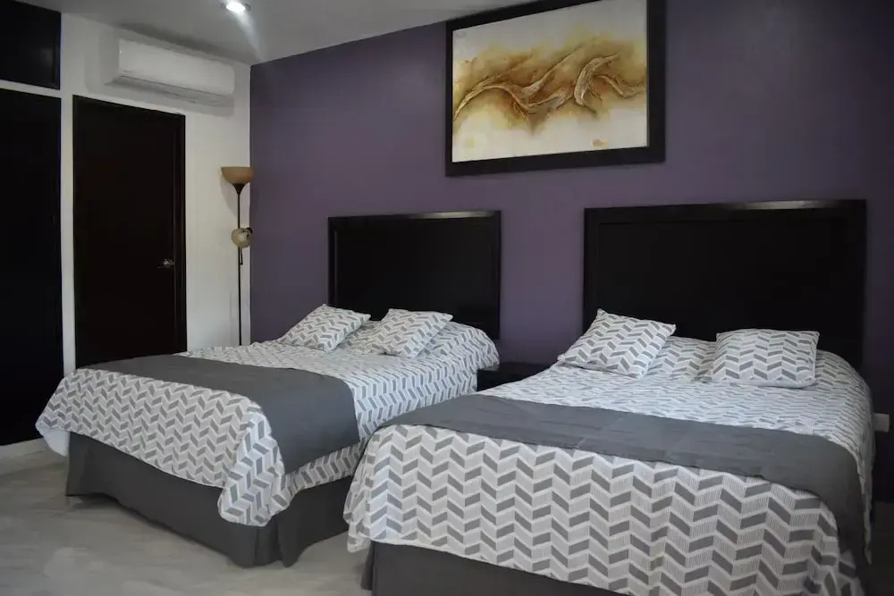 Hotel Apartamentos Stone