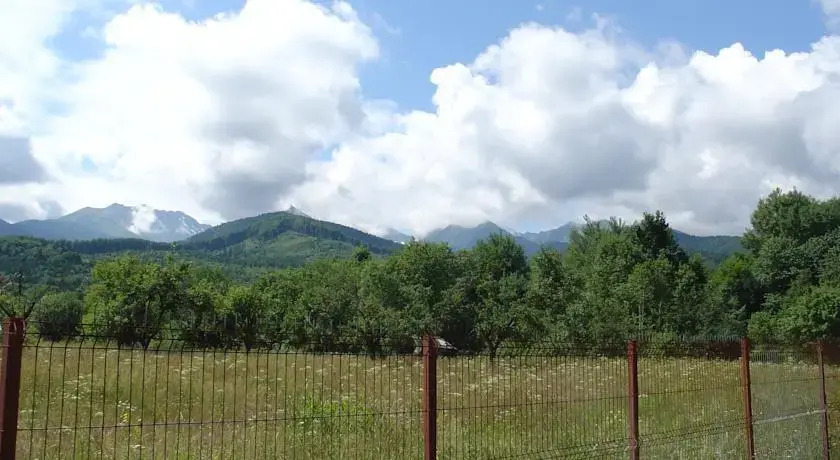 Cabana Mesteacanul