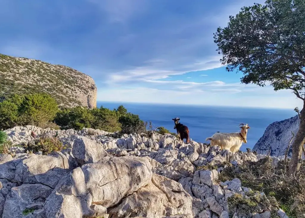 Appartamento tra mare e montagna