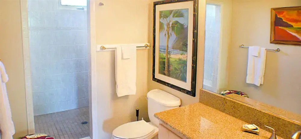 Kianas Kauai Rentals