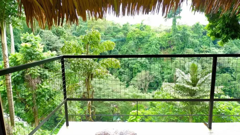 Venida Farms