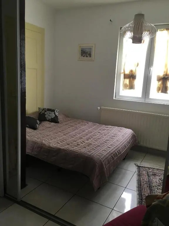 Bel Appartement en RDC proche Strasbourg