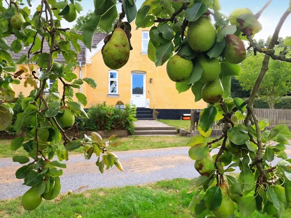 Grand Holiday Home in SÃ¸by Ã†rÃ¸ near Golf Course