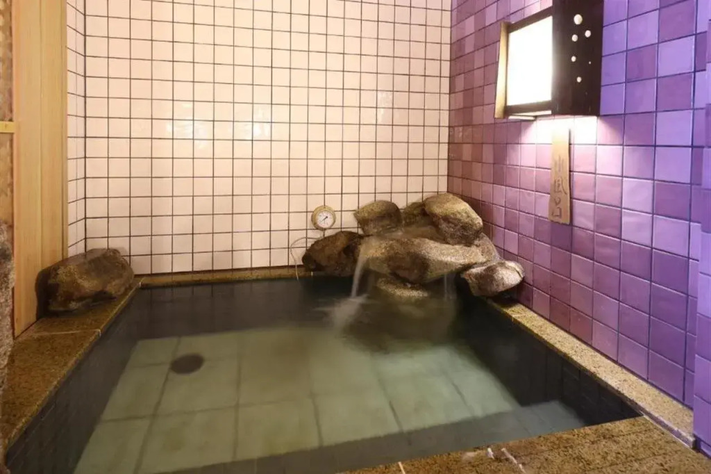 Dormy Inn Gifu Ekimae