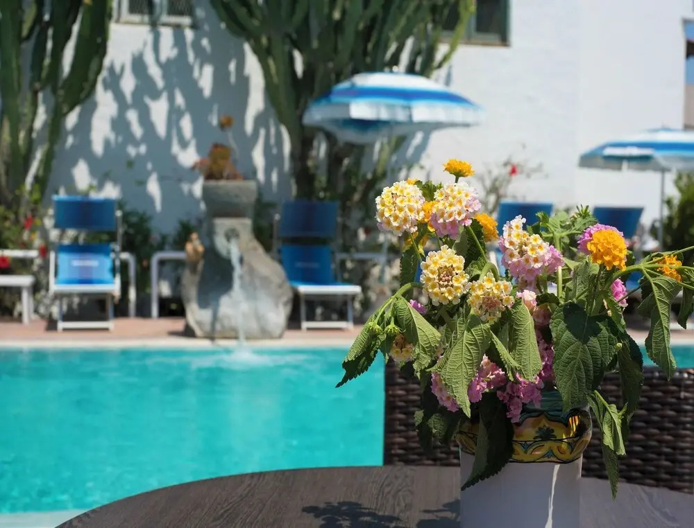 Ischia, With a Breathtaking View, in the Bay of Citara for 7 Persons