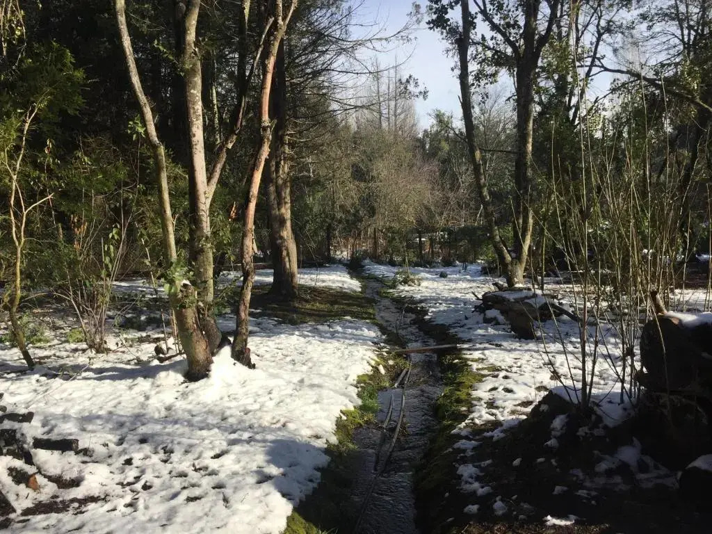 Altos del Sur Cabañas de Montaña