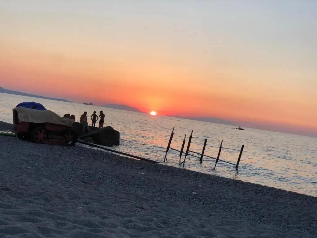 The Beach House