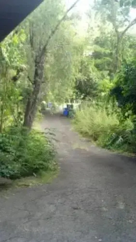 Makiki Heights Drive