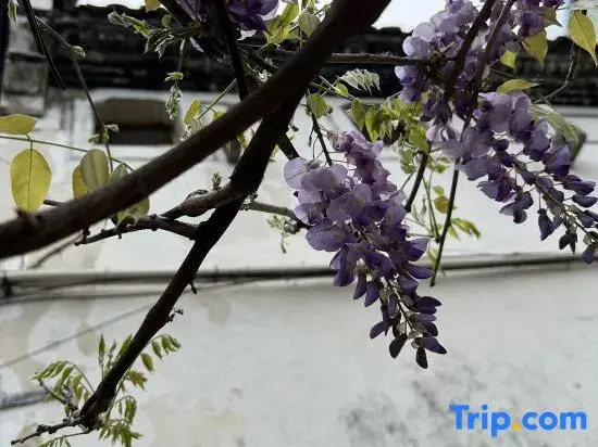Tonglu Yetao Homestay