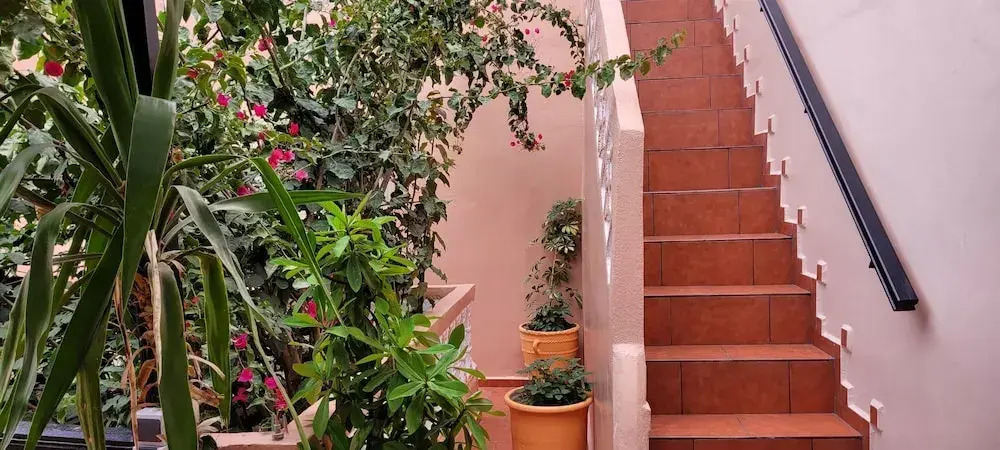 Azoul Surf Hostel Taghazout