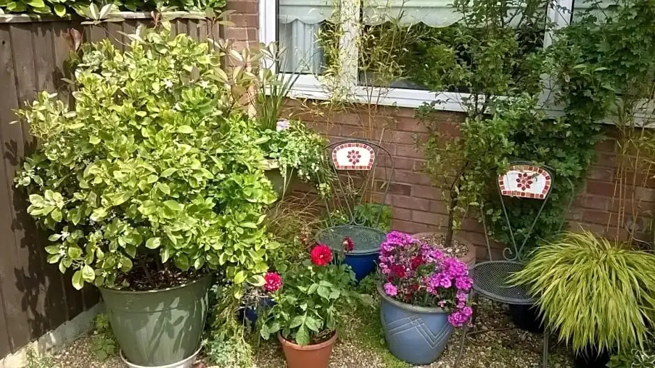 The Peels B&B
