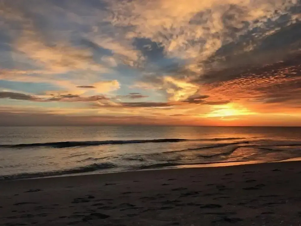 Beach Homes