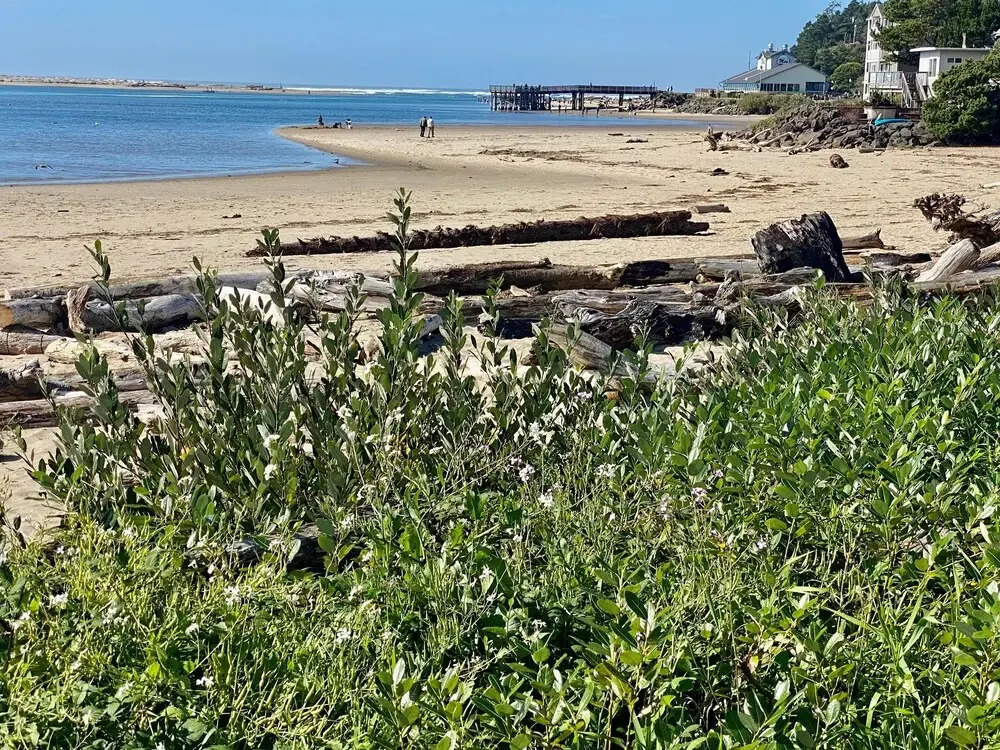 Waters Edge 101 Ocean Front