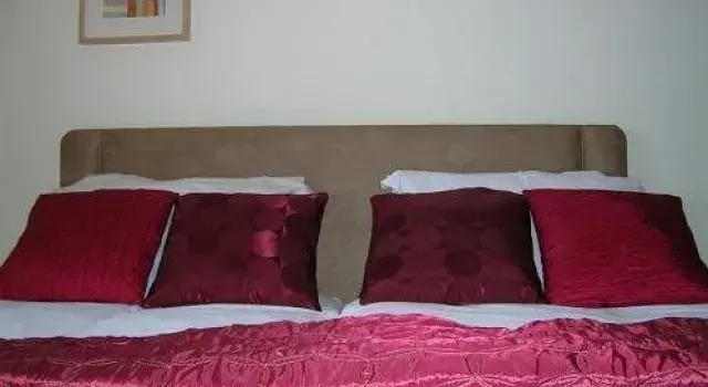 The Suite