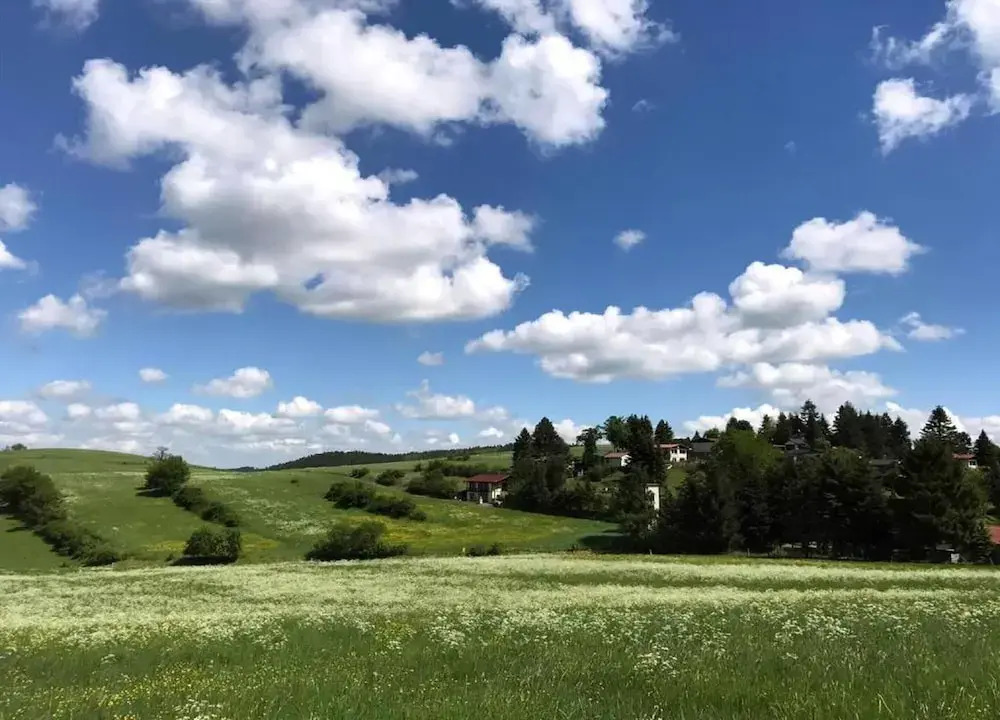 Meadow View Cottage in Winterstein Thuringia near Ski Area