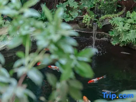 Zhuxiyuan Resort Inn