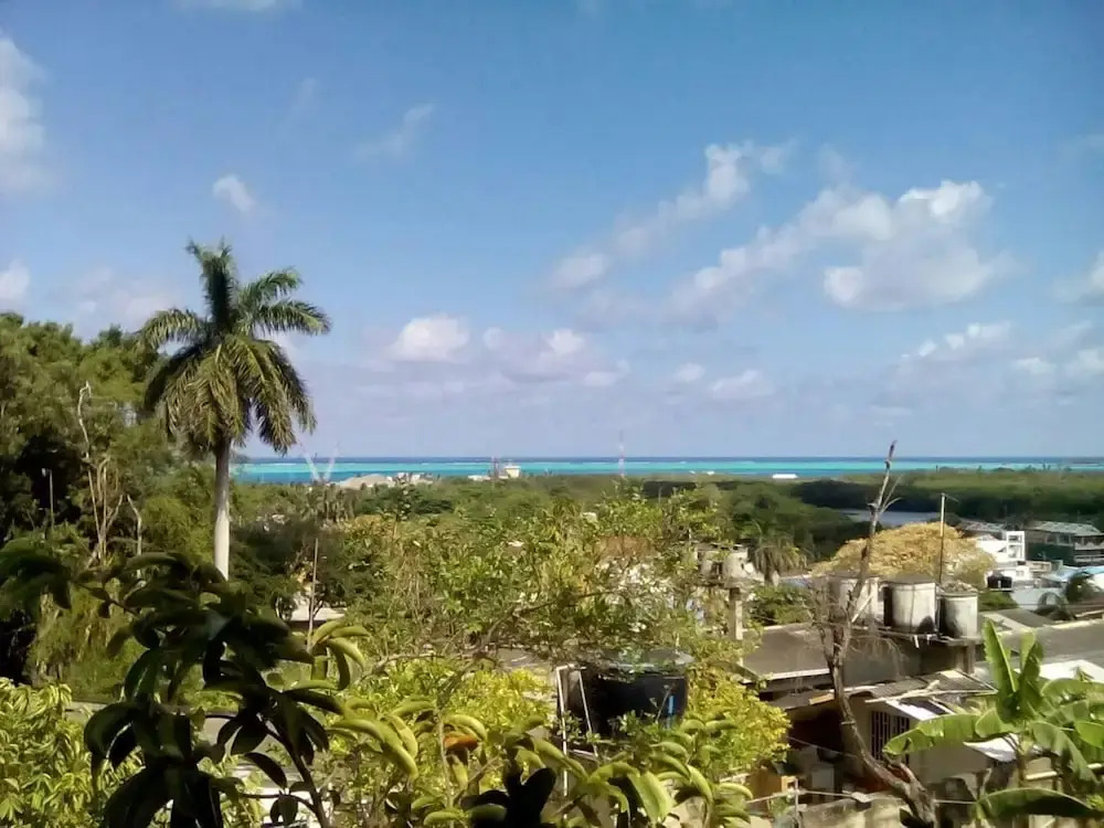Bight View