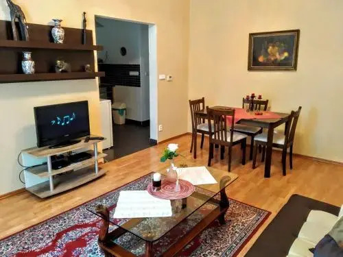 Apartment Sense of Zizkov