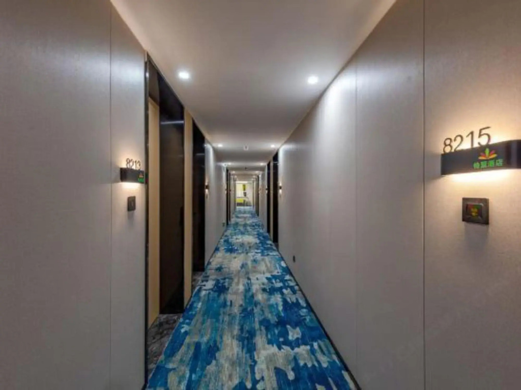 GreenTree Alliance Jiaxing Nanhu District Nanhu Hotel