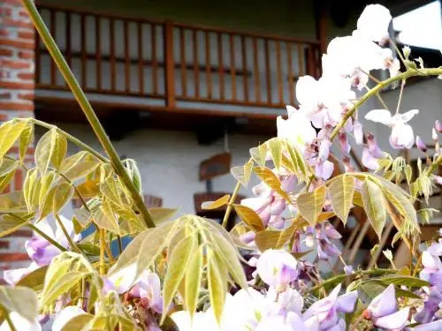 Bed and breakfast Al Rudun
