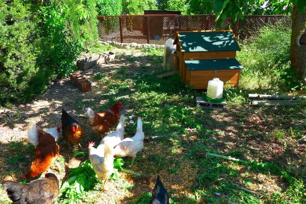 Finca Higueron