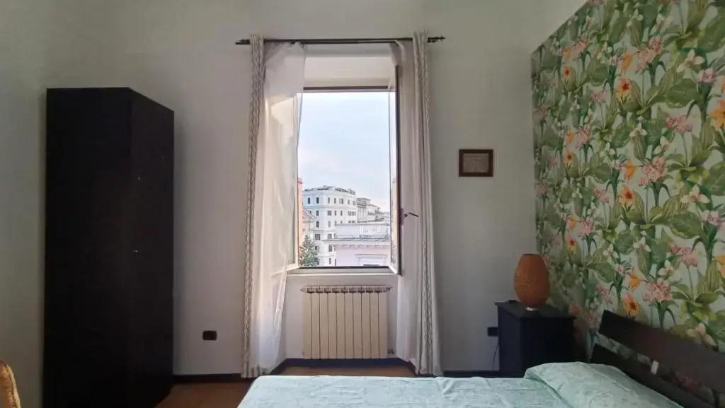 Colosseo Kokedama rooms
