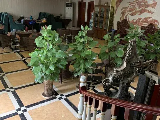 Panzhihua Kaidikangyang Hotel