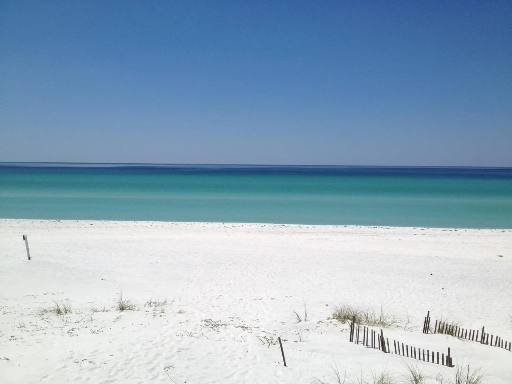 Beach Daze