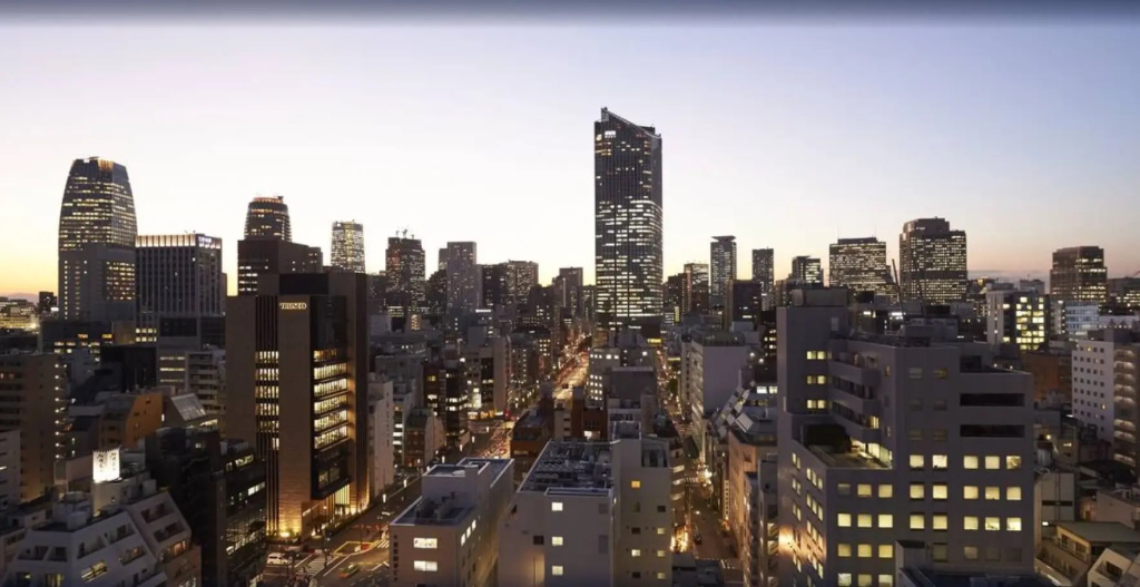 Sotetsu Fresa Inn Shimbashi-Karasumoriguchi