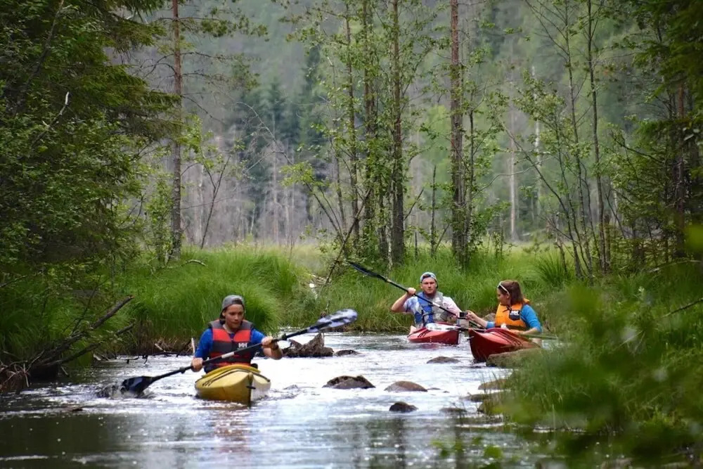 Finnskogen Turistsenter