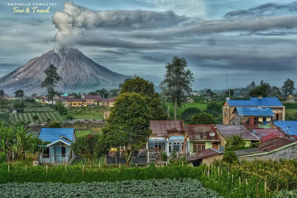 Nachelle Homestay