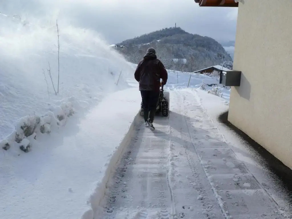 Chalet des Alpes