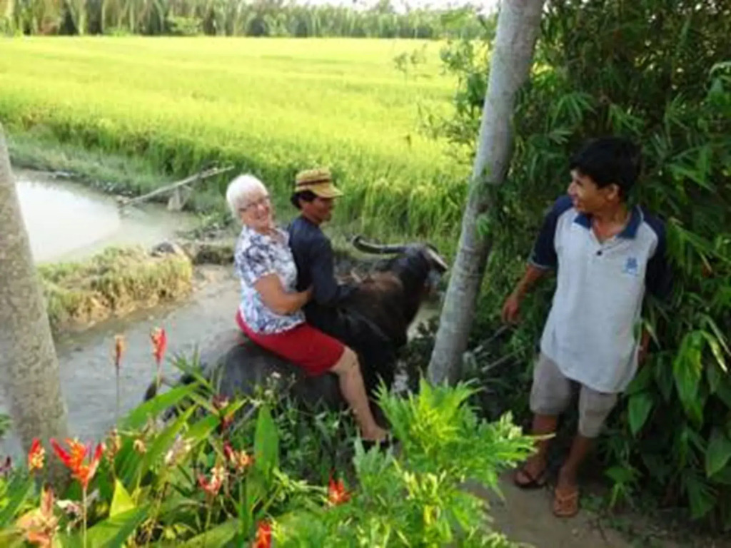 Hoi An Life Villa