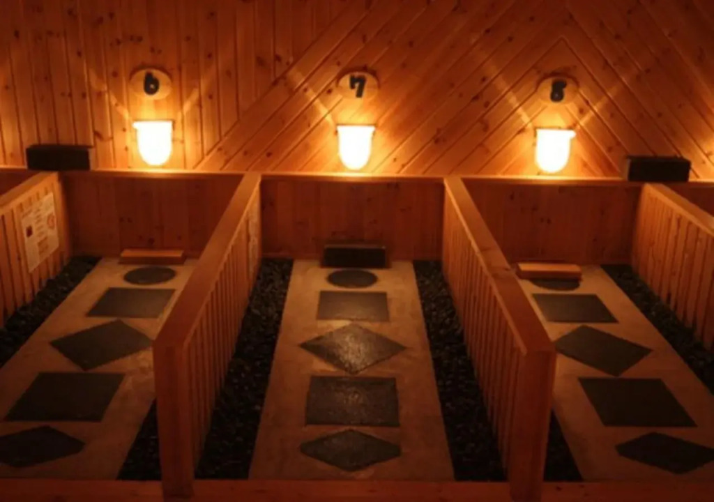 Hotel Musashitei
